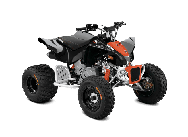Can-Am DS 90 X